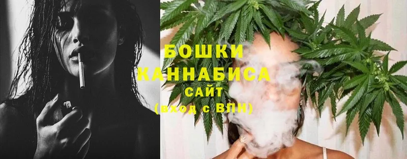 хочу   Муром  Бошки марихуана SATIVA & INDICA 